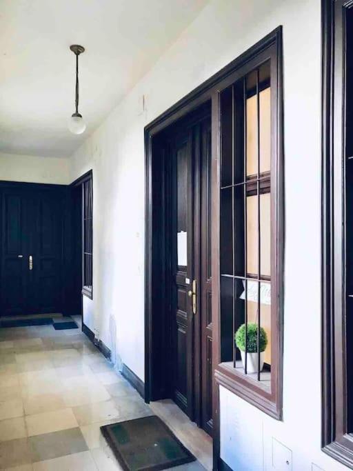 Vienna Luxury New Apartment Center -2. Bezirk Экстерьер фото